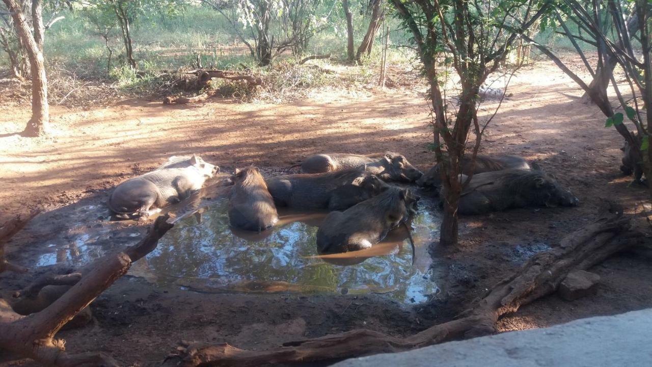 Aloes Bush Stay Hoedspruit Luaran gambar