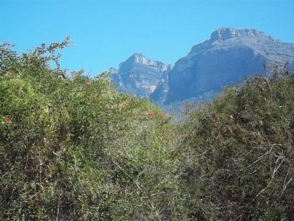 Aloes Bush Stay Hoedspruit Luaran gambar