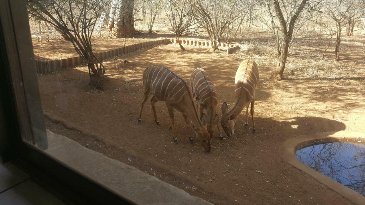 Aloes Bush Stay Hoedspruit Luaran gambar