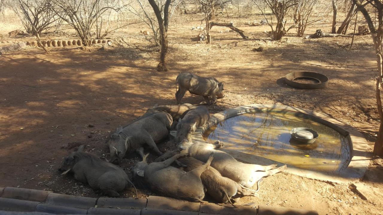 Aloes Bush Stay Hoedspruit Luaran gambar